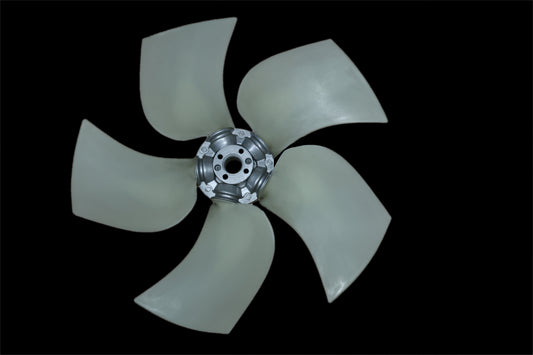 4C9A9631