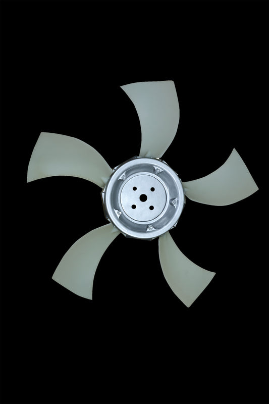 4C9A9655