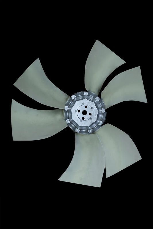 4C9A9663