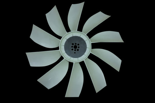 4C9A9679
